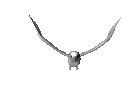 Burung merpati